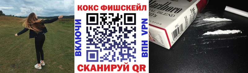 COCAIN Эквадор  купить наркотики цена  Гороховец 