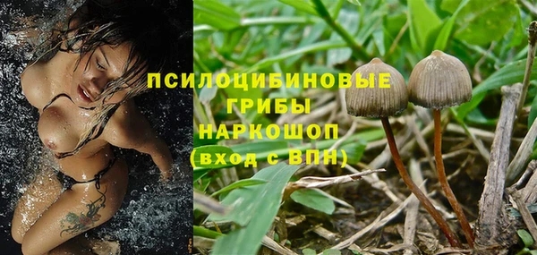 трава Богородицк
