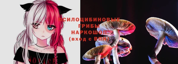 стафф Белокуриха