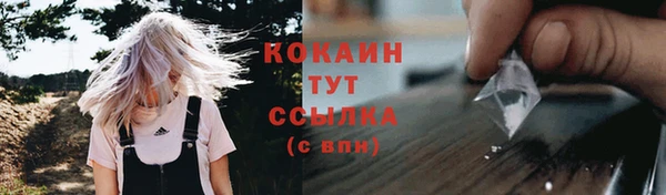 экстази Богородск