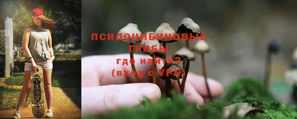 экстази Богородск
