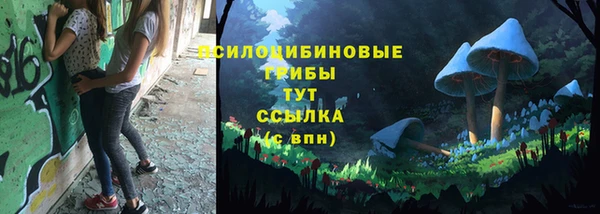 трава Богородицк
