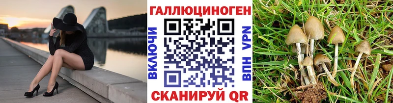 Псилоцибиновые грибы прущие грибы  кракен   Гороховец 