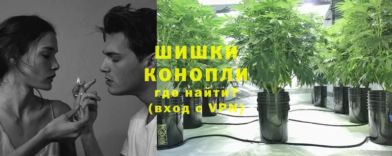 как найти наркотики  это клад  Канабис ГИДРОПОН  Гороховец 